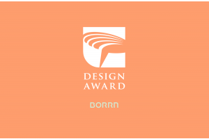 Borrn Golden Pin Design Award